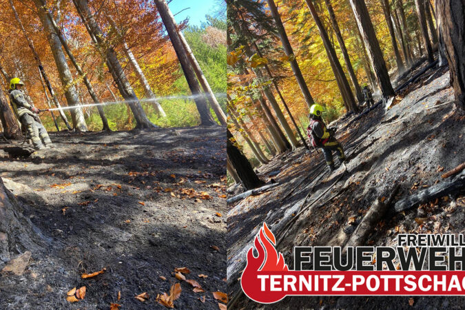 waldbrand_update3_01