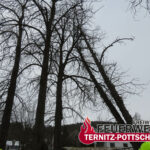 Sturmschaden von 04.02.2023
