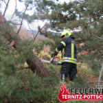 Sturmschaden vom 24.12.2023