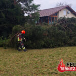 T1 Baum droht auf Haus zu stürzen 02.04.2025