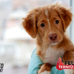 Nottüröffnung wegen Hund am 25.06