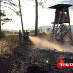 Großbrand im Föhrenwald – Einsatz für unsere Feuerwehr beendet