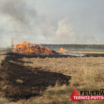 Großbrand im Föhrenwald – Einsatz dauert weiter an
